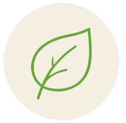 leaf_icon_aboutme